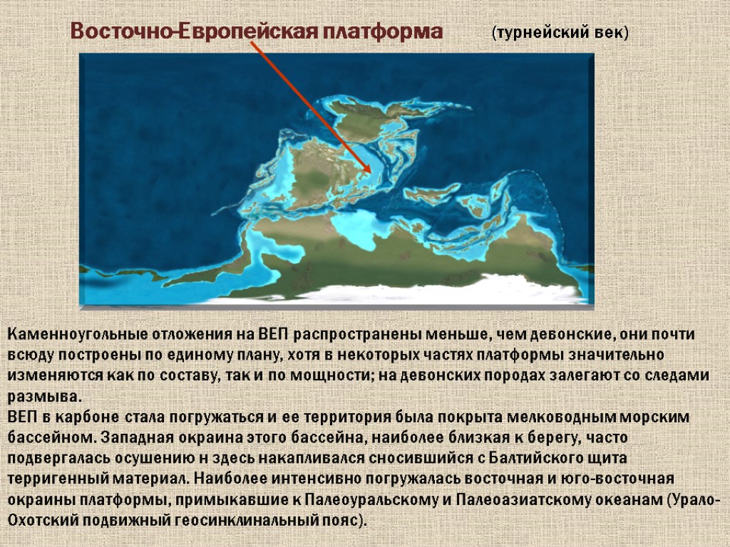 Восточно-Европейская платформа (турнейский век) Каменноугольные отложения на ВЕП распространены меньше, чем девонские, они почти